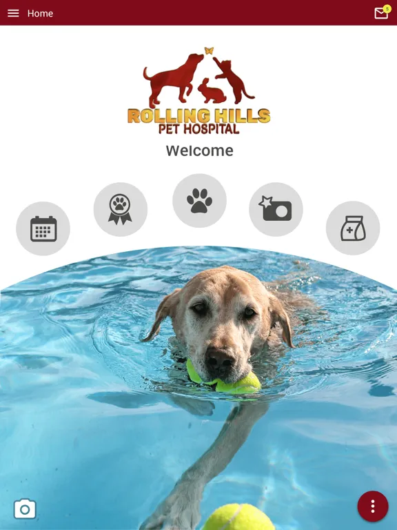 Rolling Hills Pet iPad  سکرین شاٹس