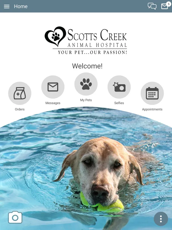Scotts Creek Animal Hospital iPad  Ekran Görüntüleri
