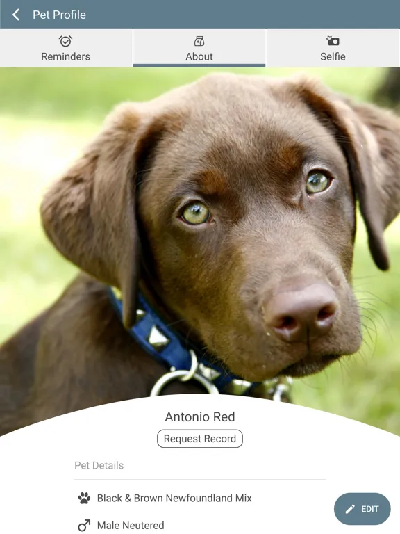 Scotts Creek Animal Hospital iPad  Ekran Görüntüleri