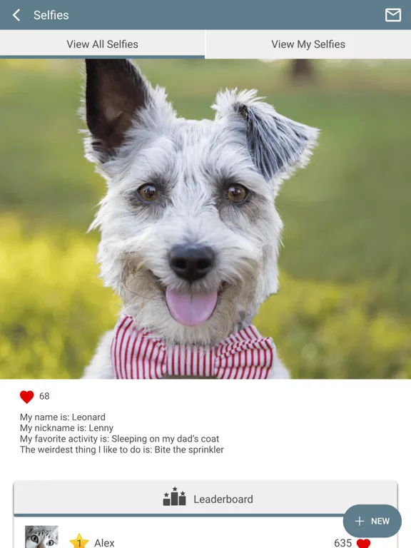 Scotts Creek Animal Hospital iPad  Ekran Görüntüleri