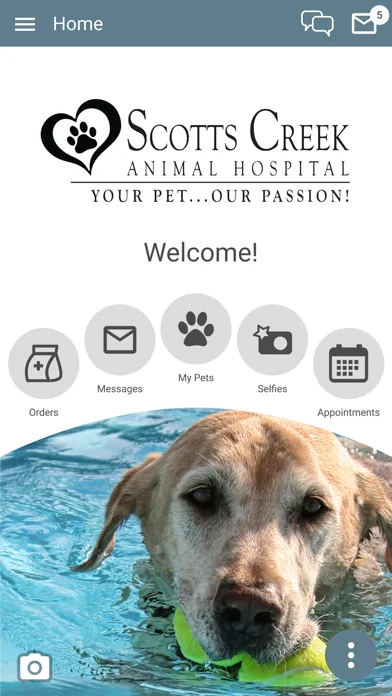 Scotts Creek Animal Hospital Ekran Görüntüleri