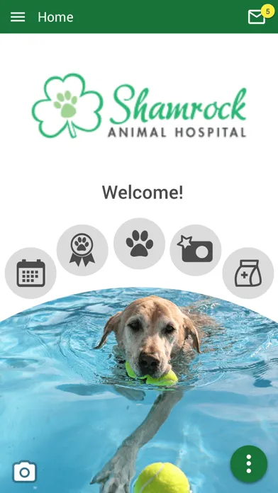 Tangkapan skrin Shamrock Animal Hospital