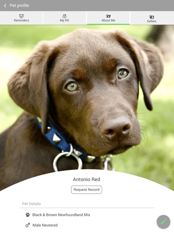 Silver Sands Veterinary iPad  Screenshots