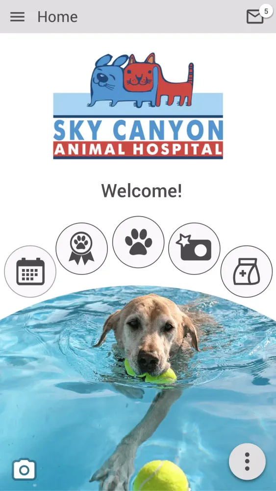 Скриншоты Sky Canyon AH