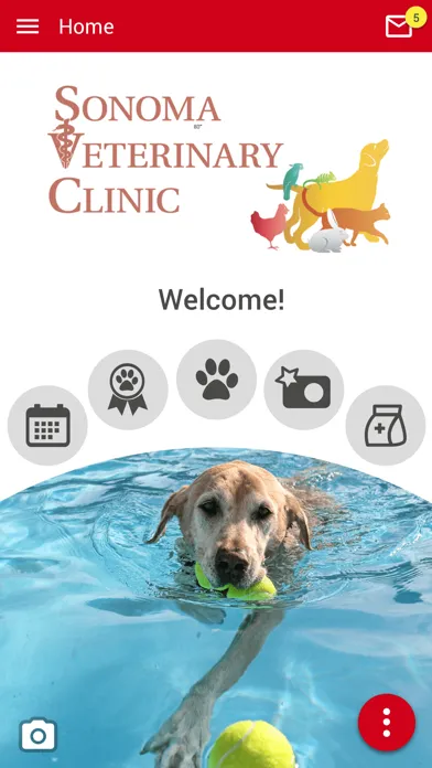 Captures d'écran de Sonoma Vet Clinic