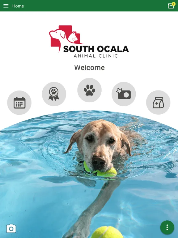 صور South Ocala Animal Clinic iPad 