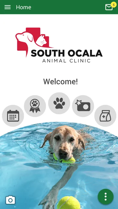 صور South Ocala Animal Clinic
