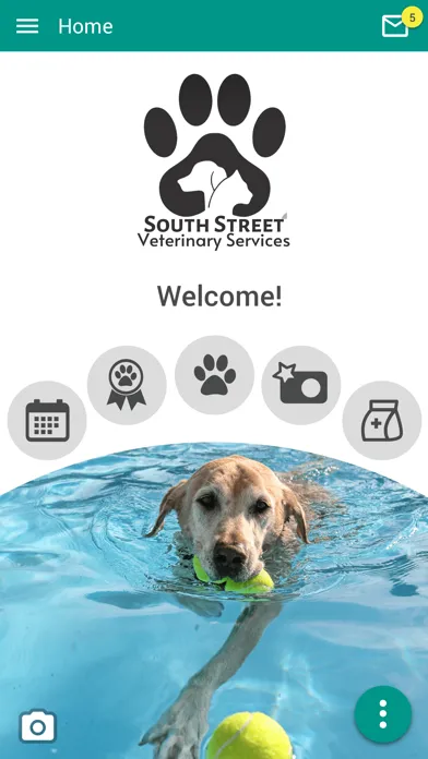 South Street Vet Services Ekran Görüntüleri