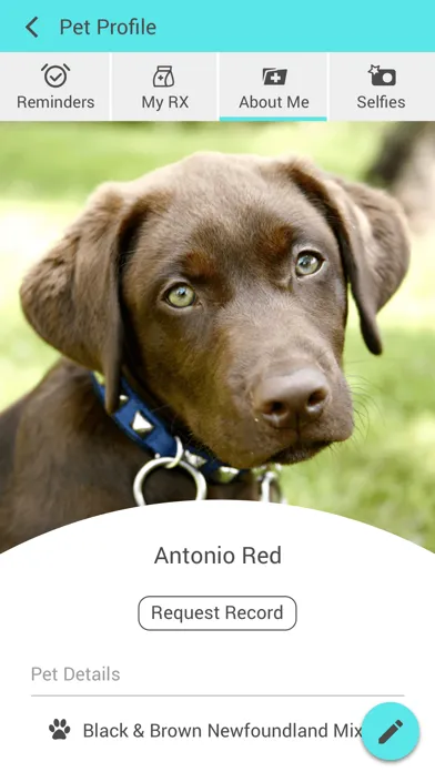 Capturas de pantalla de Stone Ridge Veterinary Medical