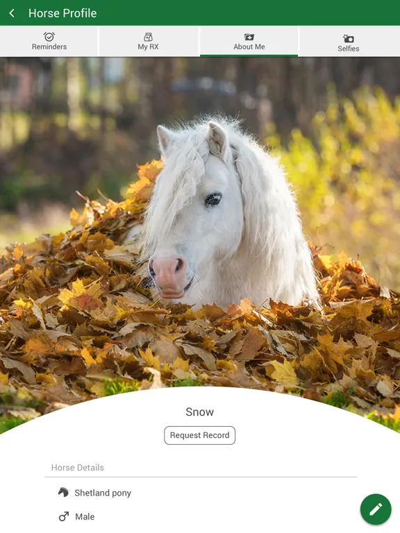 Tangkapan layar Sullivan Equine Vet Services iPad 