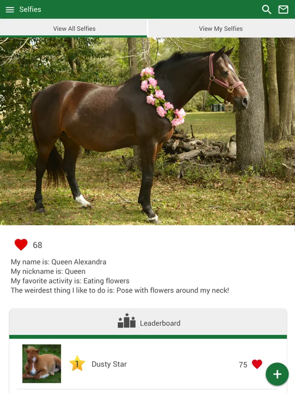 Tangkapan layar Sullivan Equine Vet Services iPad 