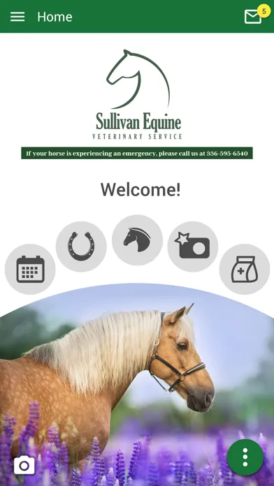 Tangkapan layar Sullivan Equine Vet Services