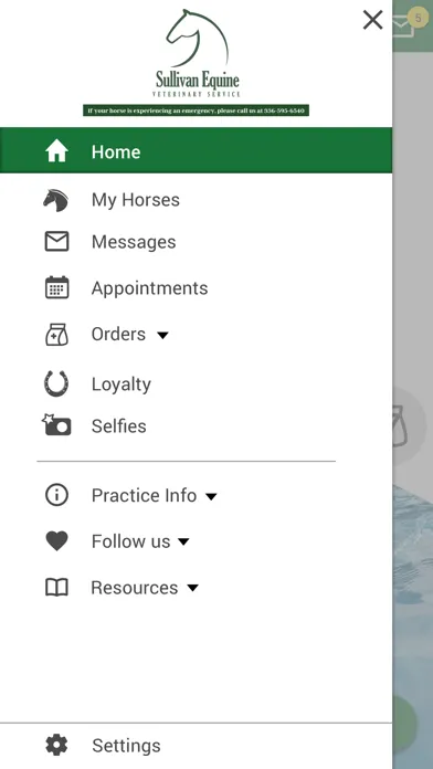 Tangkapan layar Sullivan Equine Vet Services