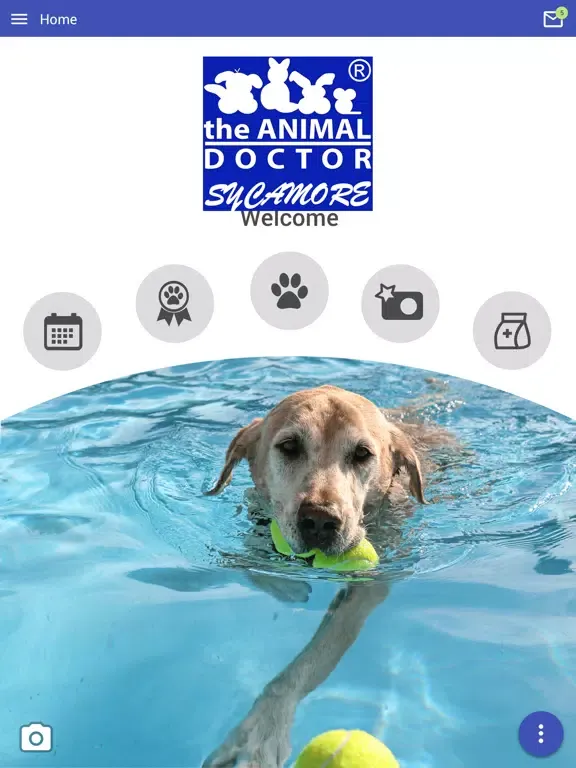 ภาพหน้าจอของ Sycamore Animal Hospital iPad 