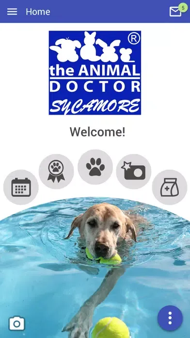 ภาพหน้าจอของ Sycamore Animal Hospital