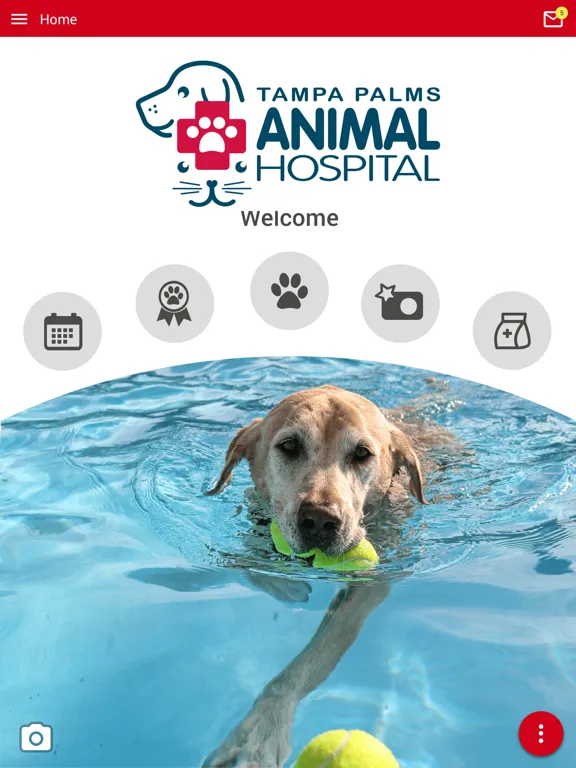 TPAH Tampa Bay iPad 应用截图