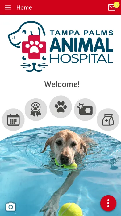 TPAH Tampa Bay应用截图