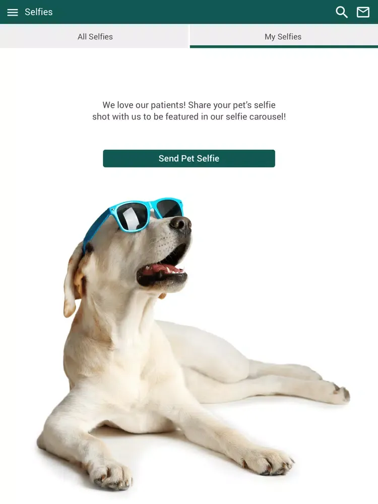 ภาพหน้าจอของ The Honolulu Pet Clinic iPad 