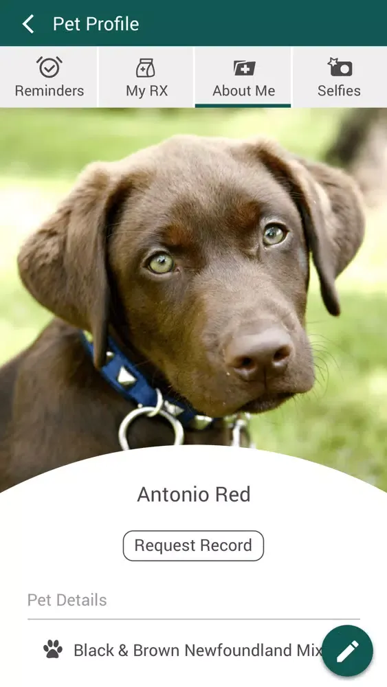 ภาพหน้าจอของ The Honolulu Pet Clinic