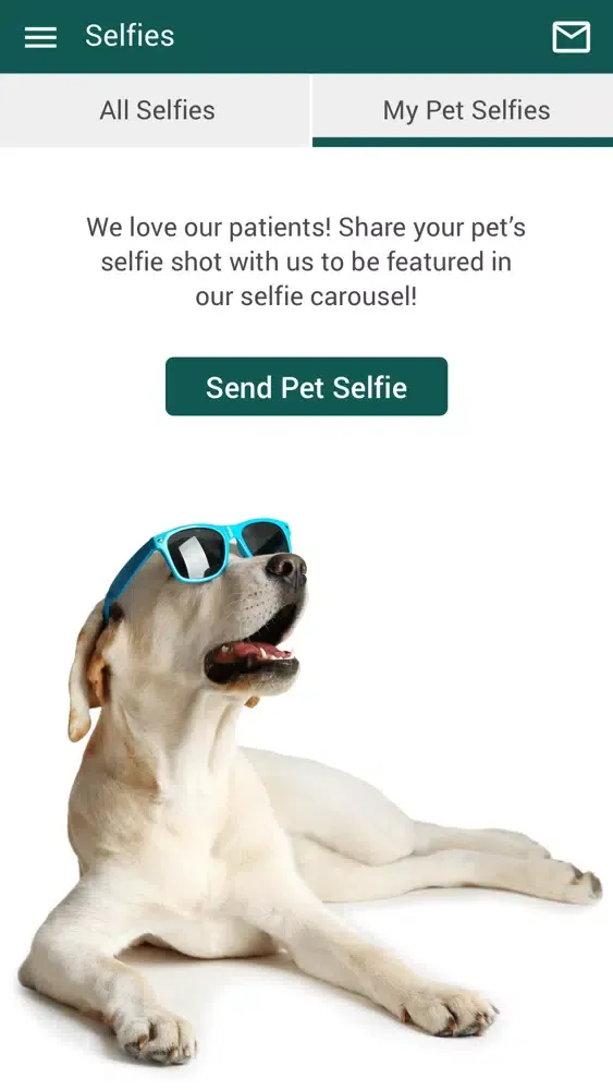 ภาพหน้าจอของ The Honolulu Pet Clinic