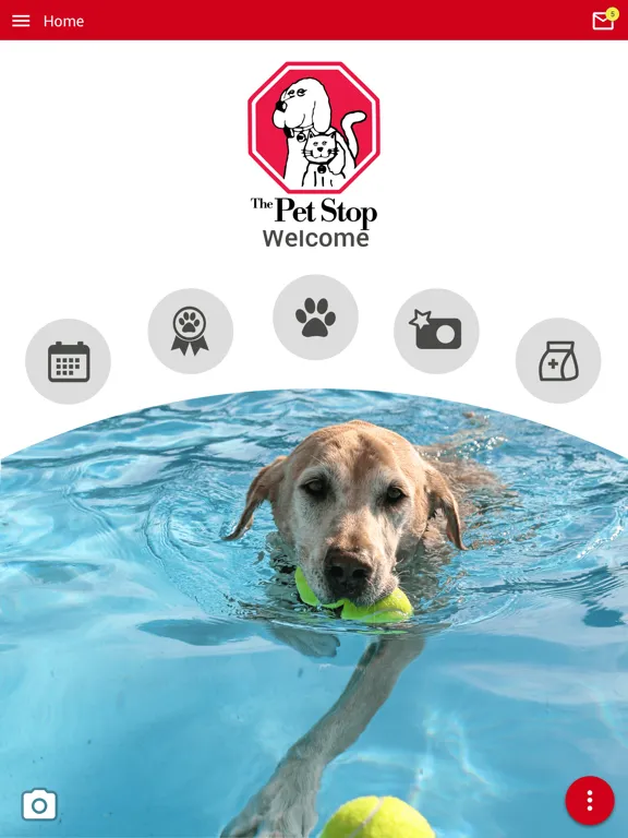 The Pet Stop AK iPad  स्क्रीनशॉट