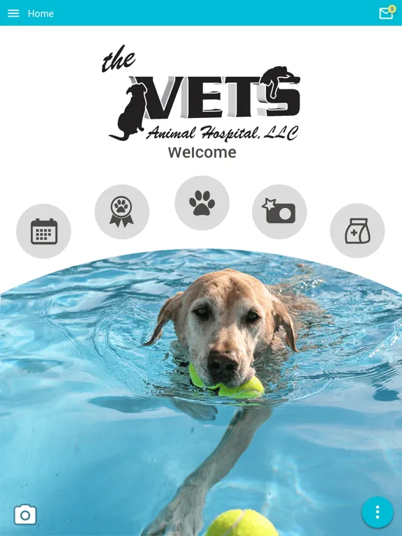 تصاویر The Vets Windsor iPad 
