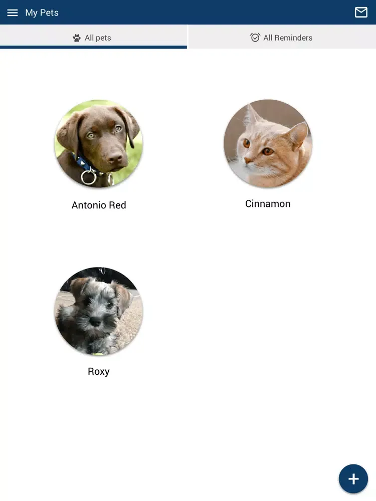 Скриншоты Town & Country Vet Montrose iPad 