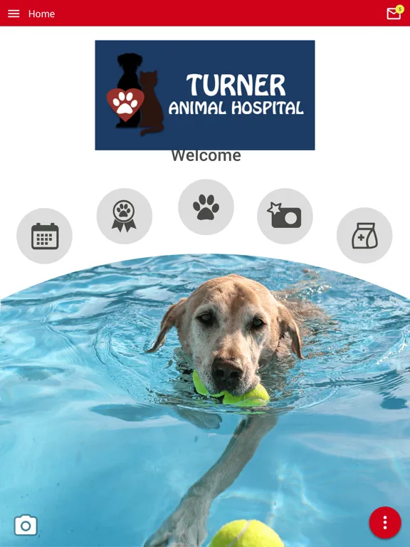 تصاویر Turner Animal Hospital iPad 