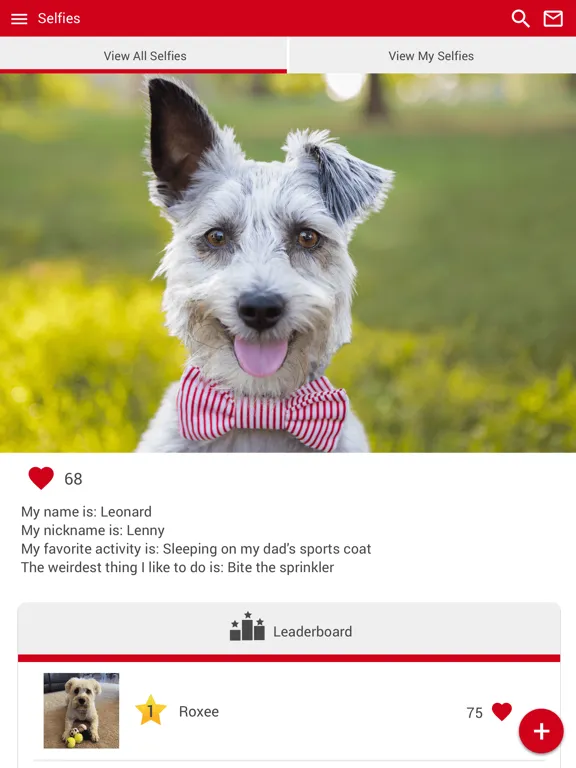 تصاویر Turner Animal Hospital iPad 