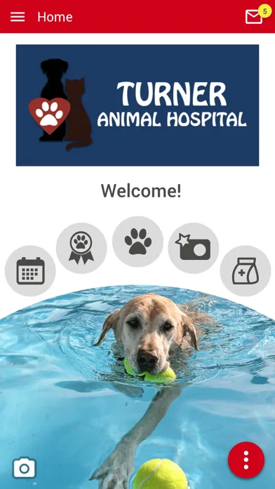 تصاویر Turner Animal Hospital