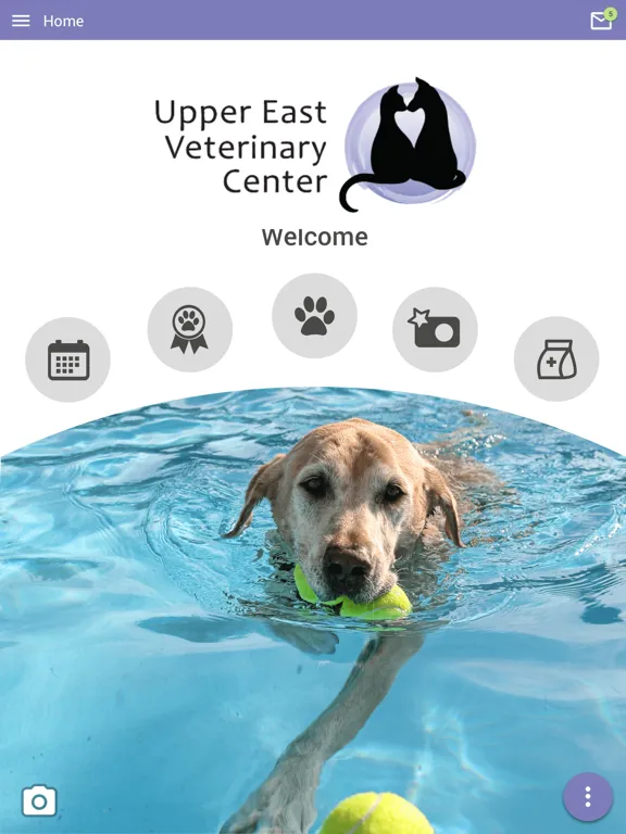 Capturas de tela do Upper East Veterinary Center iPad 