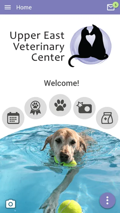 Capturas de tela do Upper East Veterinary Center