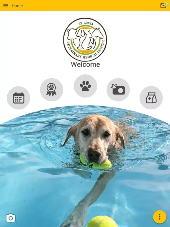 Tangkapan layar VMC St Lucia Animal Hospital iPad 