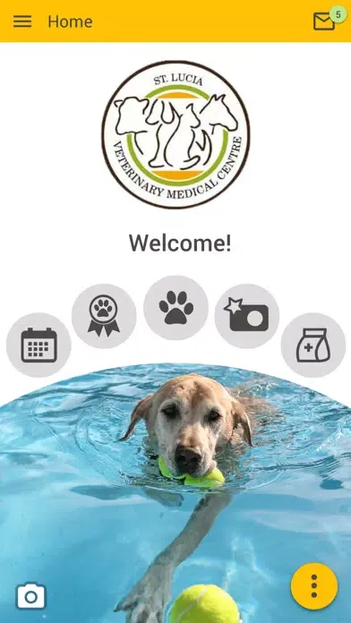 Tangkapan layar VMC St Lucia Animal Hospital