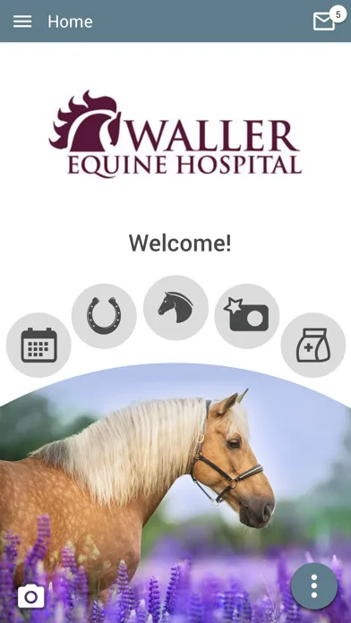 Скриншоты Waller Equine
