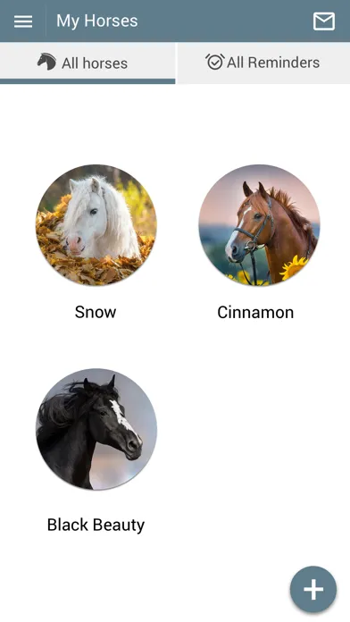 Скриншоты Waller Equine