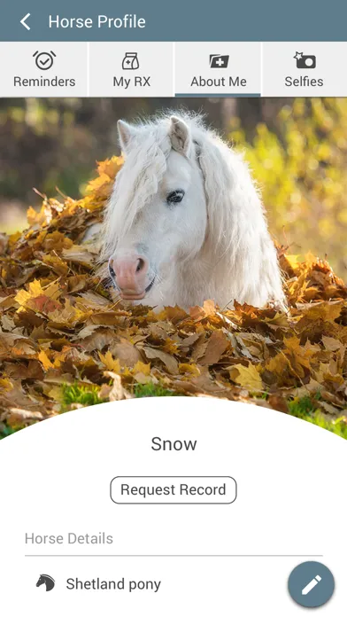Скриншоты Waller Equine