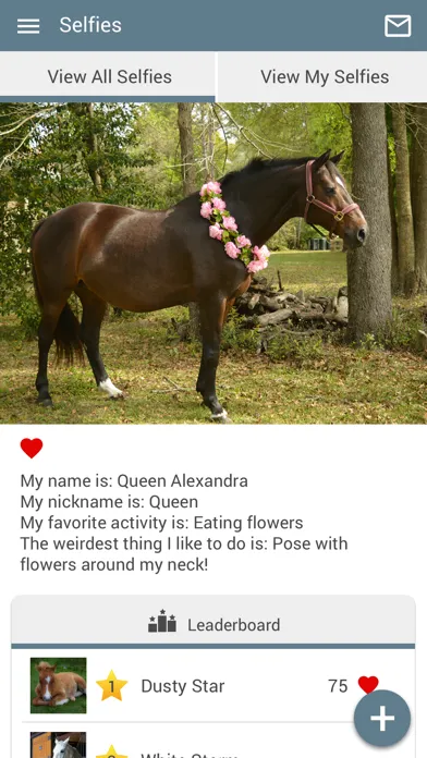 Скриншоты Waller Equine