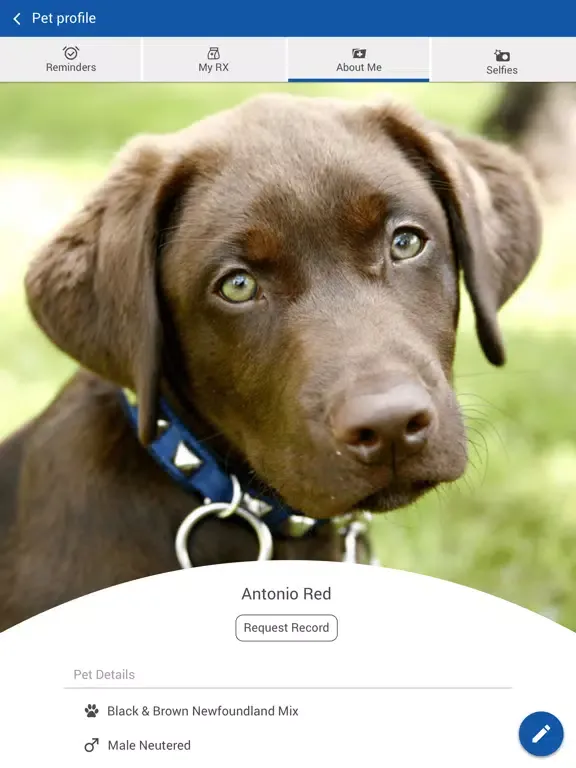 Capturas de pantalla de West Hills Veterinary Centre iPad 