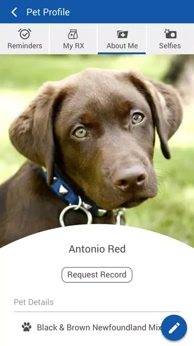 Capturas de pantalla de West Hills Veterinary Centre