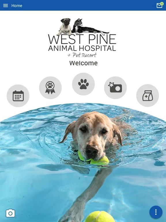 West Pine Animal Hospital iPad  Screenshots