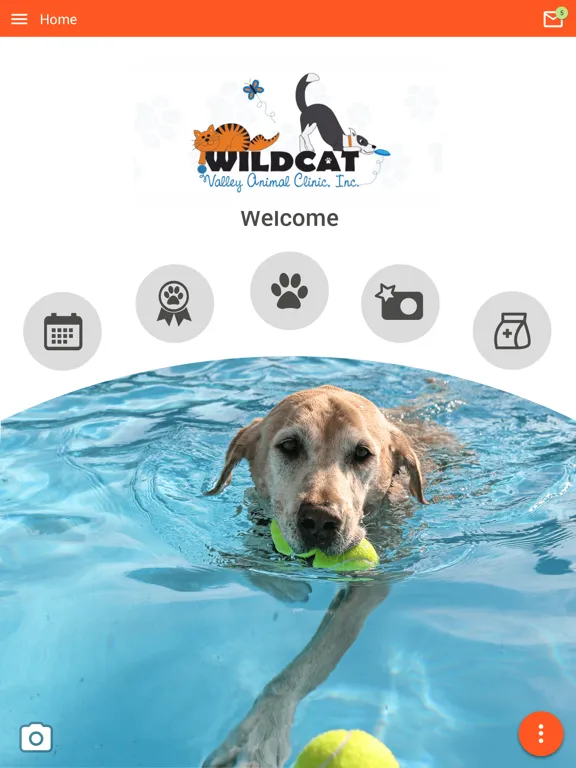 Ảnh chụp màn hình của Wildcat Vet iPad 