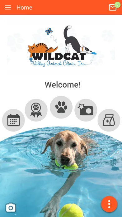 Ảnh chụp màn hình của Wildcat Vet
