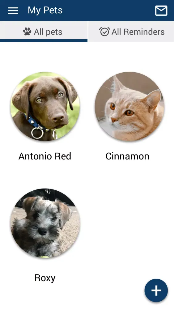Ảnh chụp màn hình của Williamsburg Vet Clinic