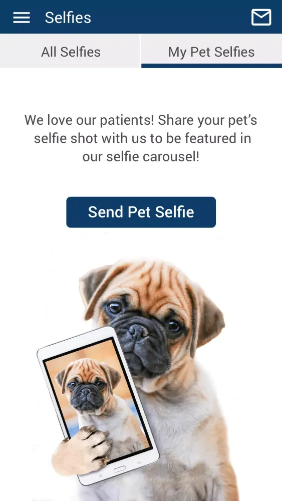 Ảnh chụp màn hình của Williamsburg Vet Clinic