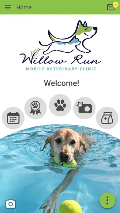 Willow Run Vets Screenshots