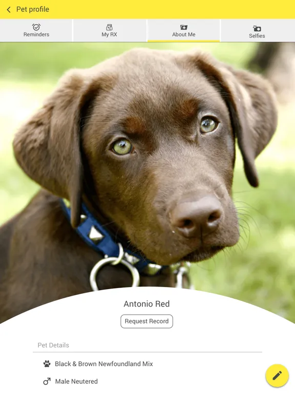 Скриншоты Winnetka Animal Clinic iPad 