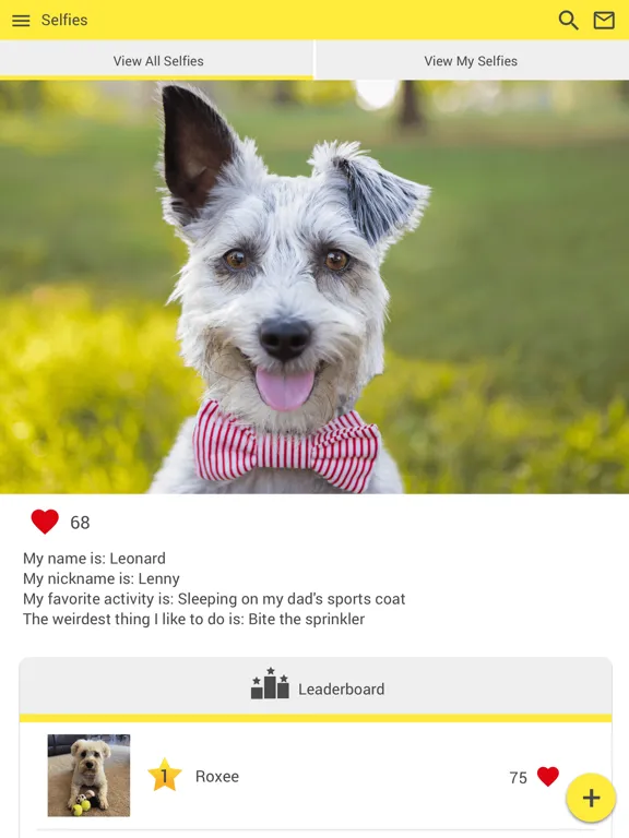 Скриншоты Winnetka Animal Clinic iPad 