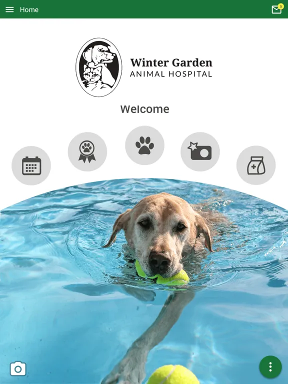 Capturas de tela do Winter Garden Animal Hospital iPad 