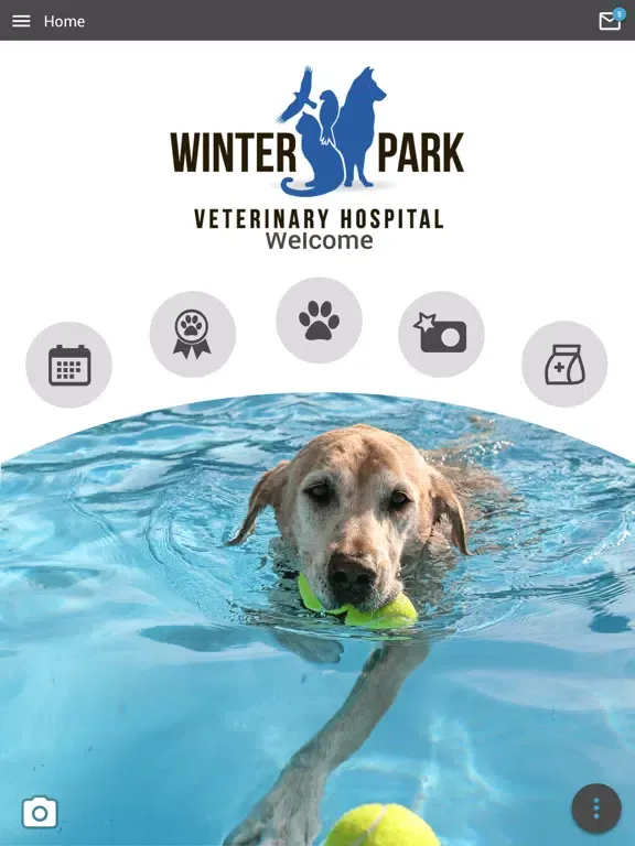 Winter Park Vet iPad 应用截图